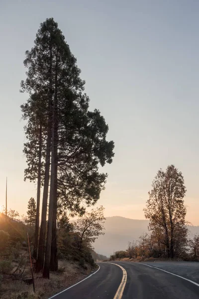 Camino a través del parque nacional Yosemite temprano en la mañana —  Fotos de Stock