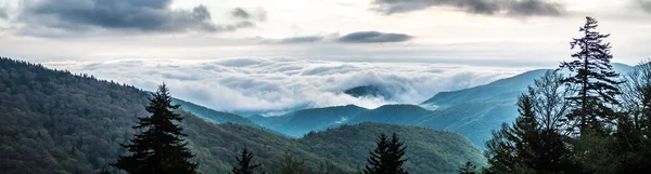 Blue Ridge Park Dağları Nda Bahar Mevsimi — Stok fotoğraf