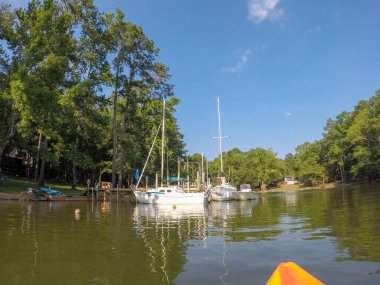 Güney Carolina 'daki Wateree Gölü' nde güzel sahneler