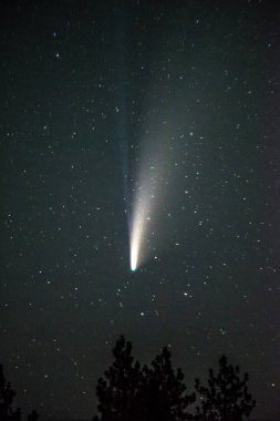view of comet neowise in the night sky clipart