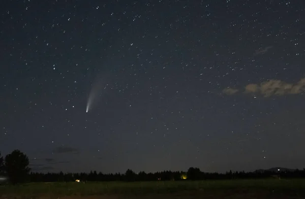 Zicht Komeet Neowise Aan Nachtelijke Hemel — Stockfoto