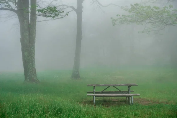 Foggy Morning Blue Ridge Mountains Picnic Area — Stock Photo, Image