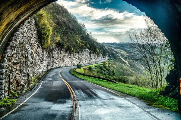 Mattina Presto Tunnel Primaverile Vicino Giardini Scoscesi Nord Carolina — Foto Stock