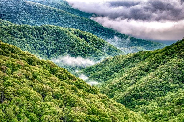 Matin Brumeux Dans Crête Bleue Montagnes Aire Pique Nique — Photo