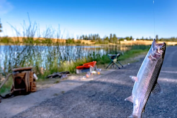 Fishing Trout Small Lake Washington State — Stock Photo, Image