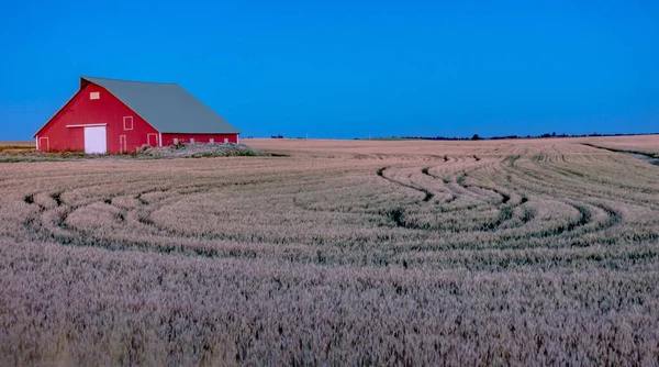 Oude Schuur Palouse Boerderij Velden Ochtend — Stockfoto