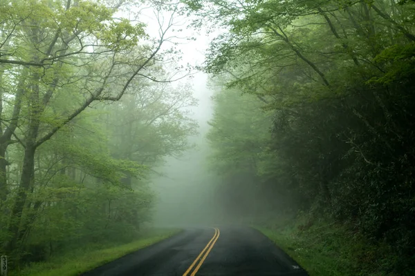 Early Morning Drive Blue Ridge Parkway Spring — Stock Photo, Image