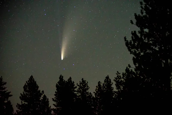 Zicht Komeet Neowise Aan Nachtelijke Hemel — Stockfoto