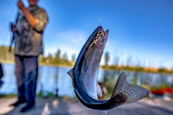 Fishing Trout Small Lake Washington State — Stock Photo, Image