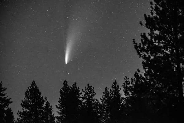 俯瞰夜空中的彗星 — 图库照片