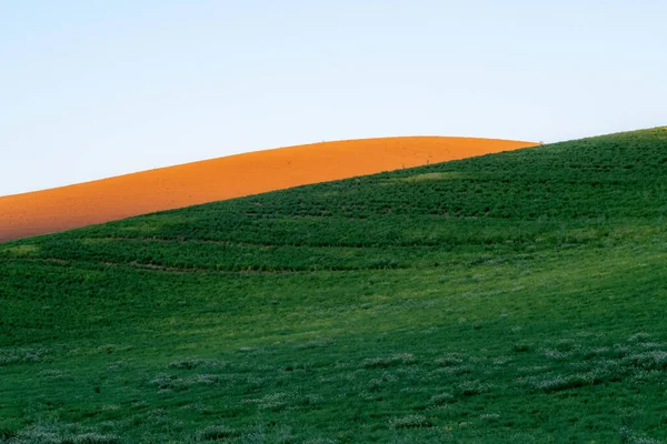 Campos Mágicos Fazenda Trigo Palouse Washington — Fotografia de Stock