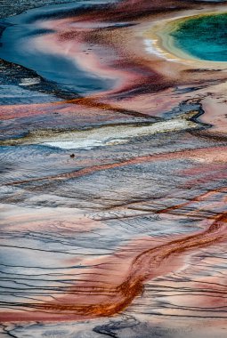 Wyoming 'deki Yellowstone Ulusal Parkı' nda büyük prizmatik bahar