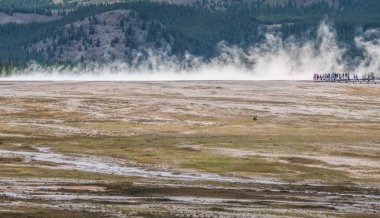 Wyoming 'deki Yellowstone Ulusal Parkı' nda büyük prizmatik bahar