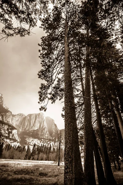 Yosemite Nationalpark Kalifornien Tidigt Morgonen — Stockfoto