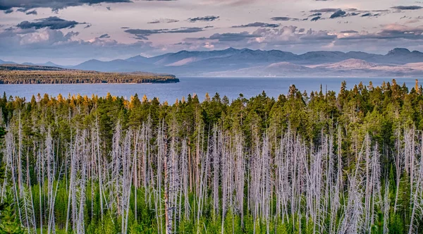 Meer Geelsteen Geelsteen Nationaal Park Wyoming — Stockfoto