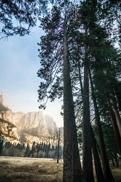 Yosemite Nationalpark Kalifornien Tidigt Morgonen — Stockfoto