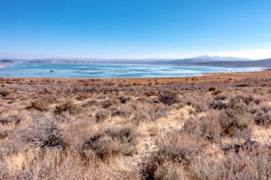 Kaliforniya 'daki Mono Gölü' nün çevresindeki manzara