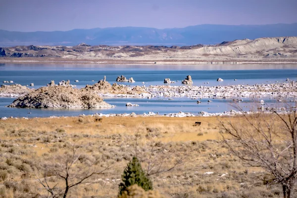 Paisaje Alrededor Mono Lago California — Foto de Stock