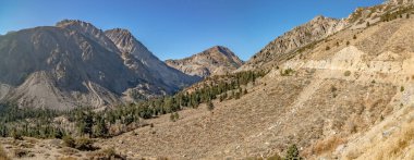 Sierra dağlarında Tioga geçidi yakınlarındaki manzara