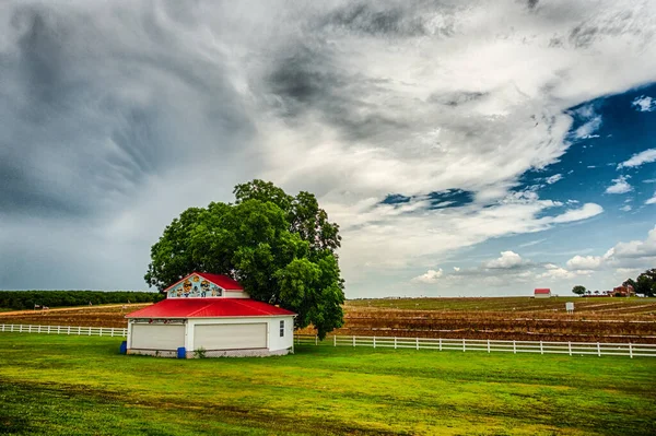 Fragola Collina Usa Ortofrutta Azienda Agricola Nel Sud Carolina — Foto Stock