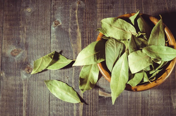 spices of bay leaf in rural style/bay leaf on a wooden surface. Top vie