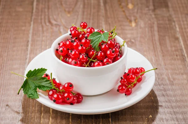 Red Currant White Coffee Cup Red Currant White Coffee Cup — Stock Photo, Image