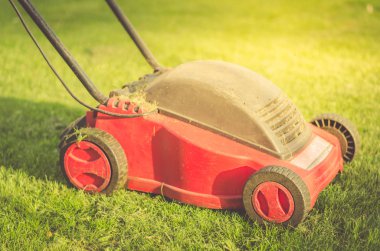 çim biçme makinesi çim çimen/çim biçme makinesi üzerinde. Seçici odak