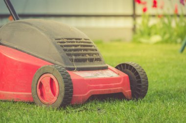 çim biçme makinesi üzerinde yaz çayır çim/kırmızı çim biçme makinesi üzerinde. Seçici odak