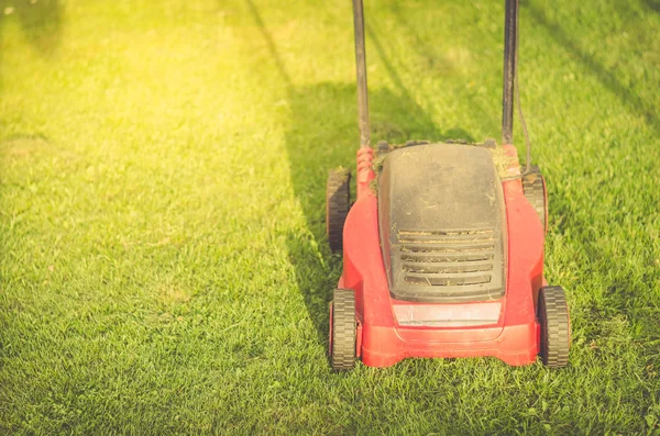 lawn mower on the lawn/red lawn mower on summer meadow. Top view and copyspace