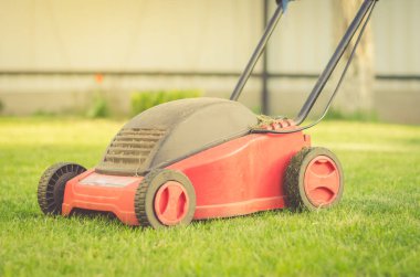 tonsured çim/biçme'nın bahçesinde yazlık yar içinde kırmızı çim biçme makinesi