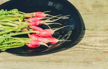 bir bahçe/paket sağlıklı turp ahşap arka plan, üstten görünüm üzerinde siyah bir kase içinde paket sağlıklı turp