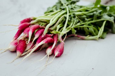 seçici odak bir beton zemin üzerine beton bir arka plan/taze bahçe turp üzerinde taze bahçe turp