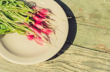 bir kase/taze bahçe turp eski bir ahşap arka plan, üstten görünüm üzerinde bir kapta taze bahçe turp
