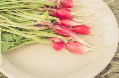 bir kase/frash turp bir kapta, üstten görünüm içinde turp