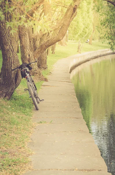 Kolo Řeky Parku Kolo Řeky Parku Západ Slunce — Stock fotografie