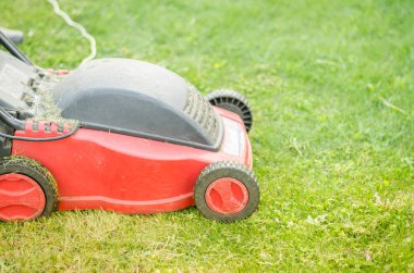 yeşil çim çim/kırmızı çim biçme makinesi üzerinde kırmızı çim biçme makinesi. Seçici focu