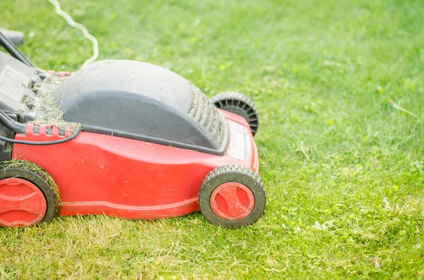 Röd Gräsklippare Gräsmattan Röd Gräsklippare Gröna Gräsmattan Selektiv Tant — Stockfoto