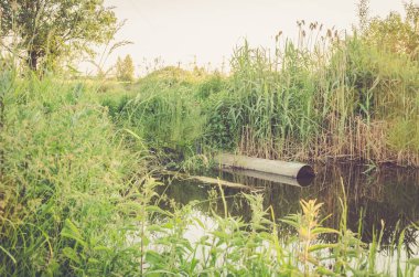 Su borusundan nehir / ekoloji kavramına atık su akışı: kanalizasyon nehre atık taşır