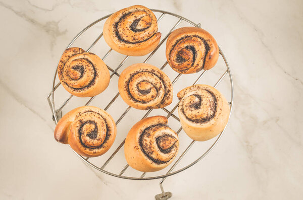 fresh rolls with poppy on a metal lattice/fresh rolls with poppy on a metal lattice, top view