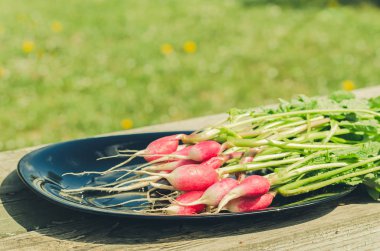 bir bahçe/turp ahşap beyaz arka plan, seçici odak üzerinde siyah bir kase içinde paket sağlıklı turp