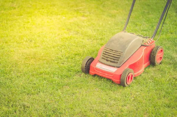 Yazlık Bahçe/kırmızı çim yeşil çim kesme biçme, çim biçme