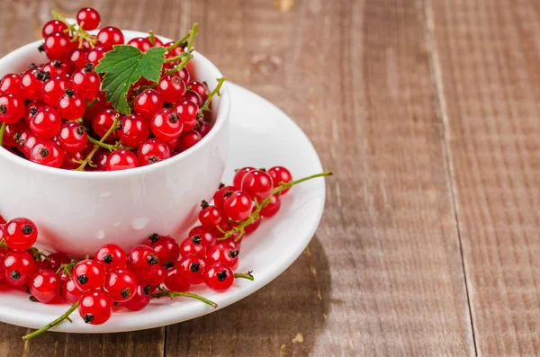 white cup full of red currant/white cup full of red currant on a wooden background. With copy space
