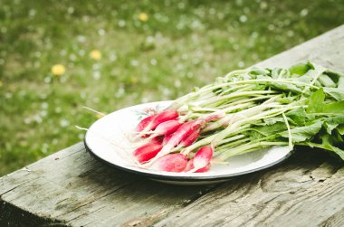 bir bahçe bir ahşap masa /rustic üzerinde taze turp stil: ahşap bir masa, seçici odak üzerinde taze turp