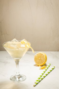 Buz ve limon/Martini buz ve limon ile kokteyl ile martini. Seçici odak