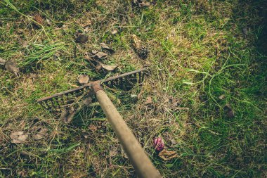 Yeşil çimenlerdeki tırmıklarla yaprakları temizlemek, yeşil çimlerin arasındaki eski tırmıkları temizlemek.