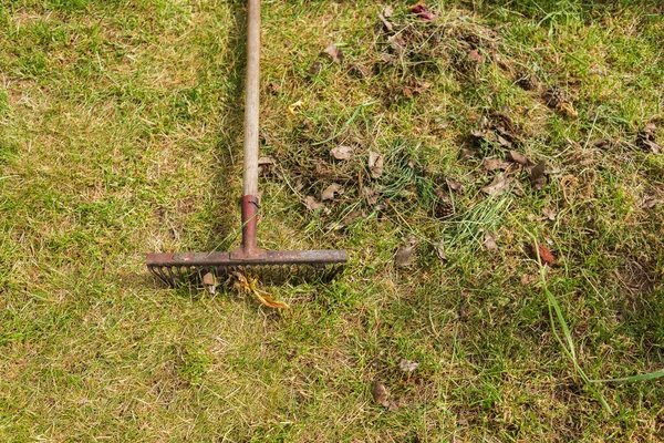 Rastrello Pulizia Fogliame Erba Verde Stagione Raccolta Foglie Con Rastrelli — Foto Stock