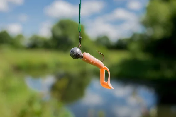 Cebo Pesca Silicona Cebo Pesca Silicona Una Línea Pesca Contra — Foto de Stock