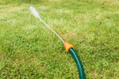 Su püskürten hortum / çimenlere su basan hortum