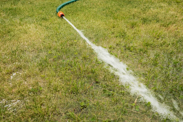 hose with water jet/hose with water jet on the green grass