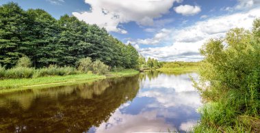 Ormandaki nehir, ormandaki manzara, ormandaki en yüksek nehir.